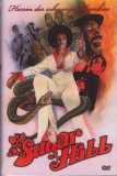 Sugar Hill - Herrin der schwarzen Zombies (uncut) Limited 55
