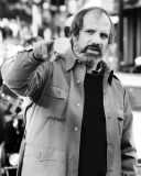 Brian De Palma - Biografie und Filmografie