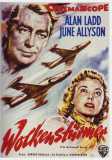 Wolkenstürmer (1955) Alan Ladd