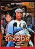 Der Bronzeschwur der Shaolin (uncut) Cover B