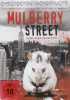 Mulberry Street (uncut)